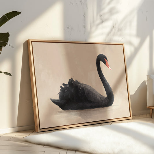 Black Swan Glides Through Blush Dawn