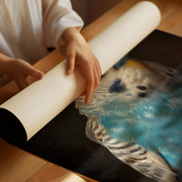 Royal Plumage In Midnight Court