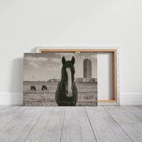 Grassland Watch