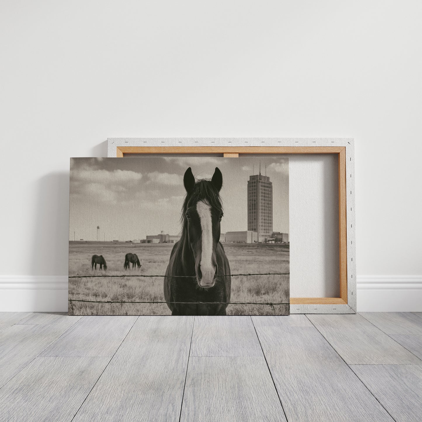 Grassland Watch