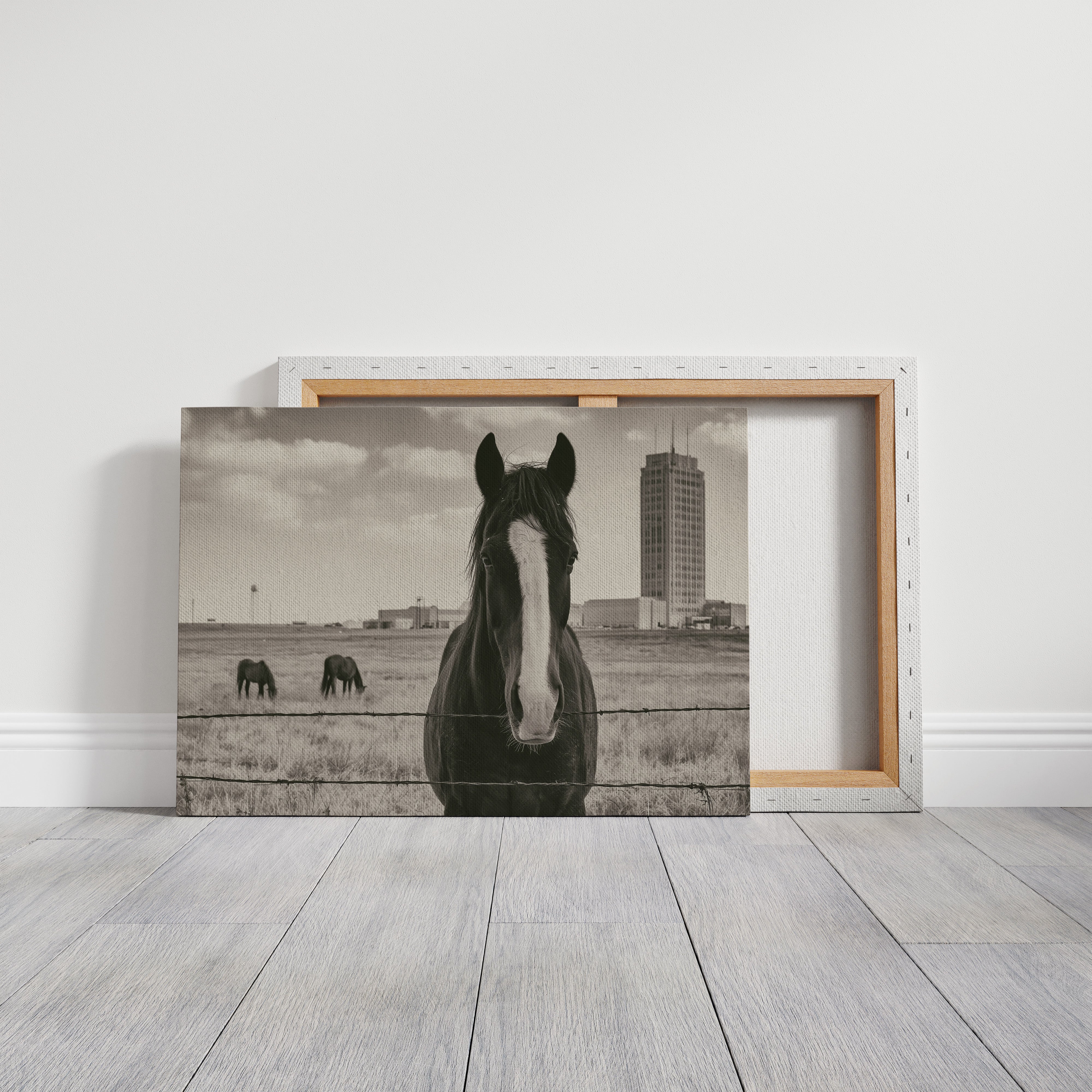 Grassland Watch