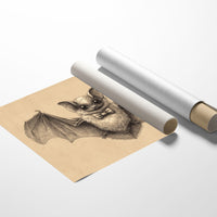 Dapper Bat's Literary Haunt