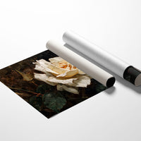 Cream Petals Among Literary Treasures