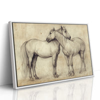 Equine Companionship Study