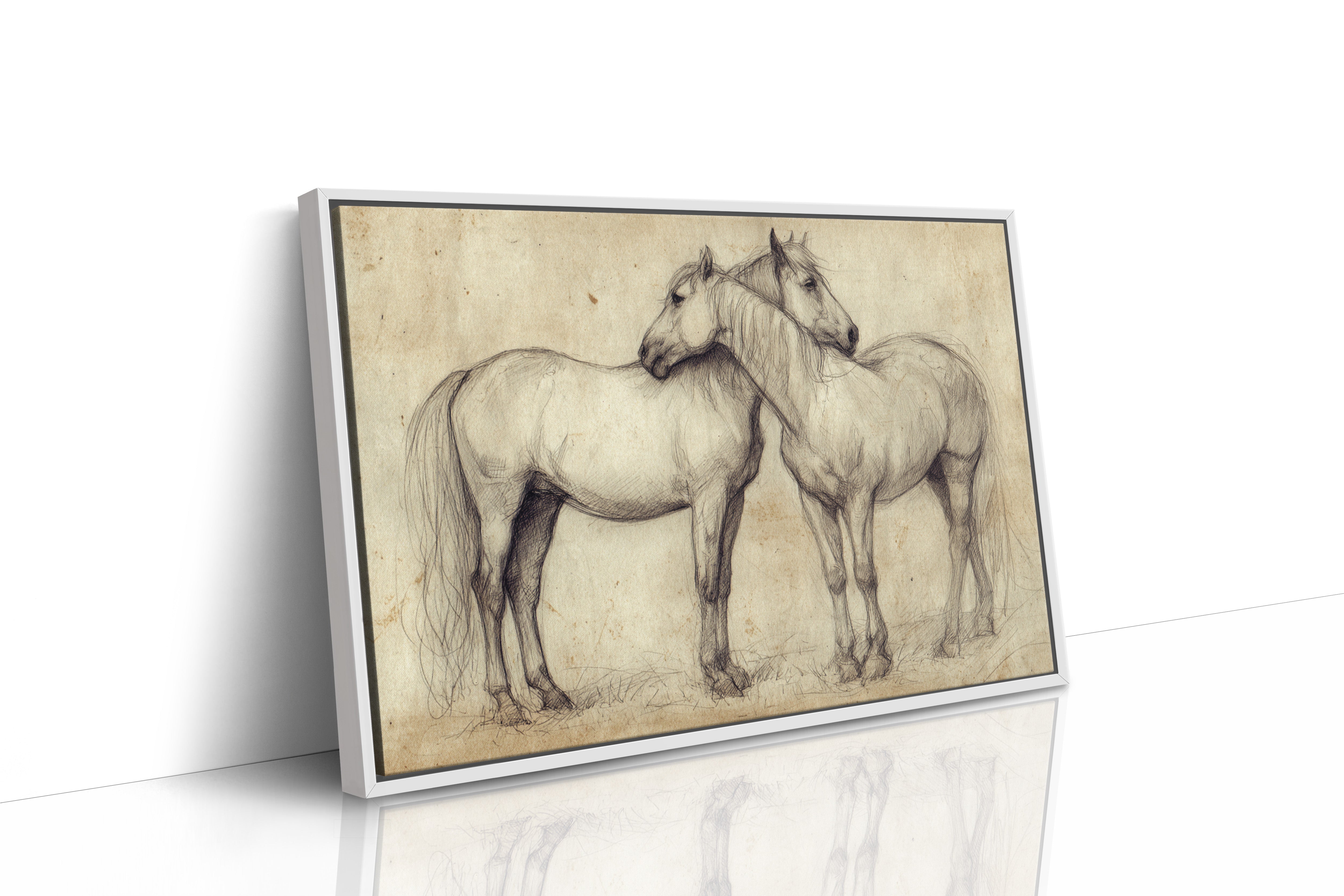 Equine Companionship Study
