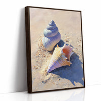 Coastal Treasures On Sunlit Sand