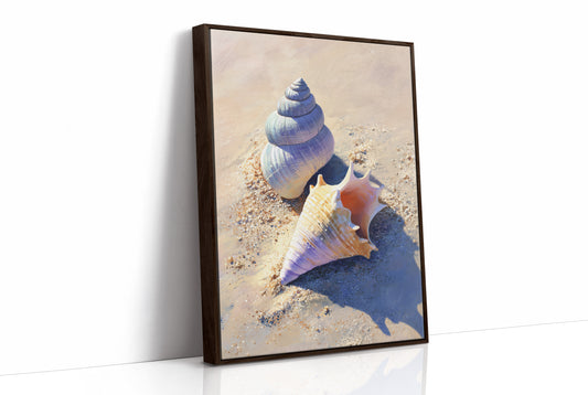 Coastal Treasures On Sunlit Sand