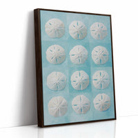 Sand Dollars Dance On Teal