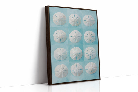 Sand Dollars Dance On Teal