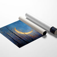 Crescent Forest Bathes In Starlight