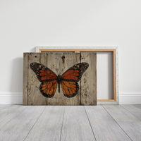 Weathered Wings Tell Summer Stories