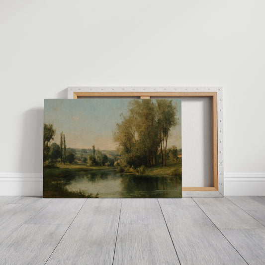 Poplars Mirror Summer's Gentle Light