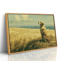 Golden Retriever, Golden Fields