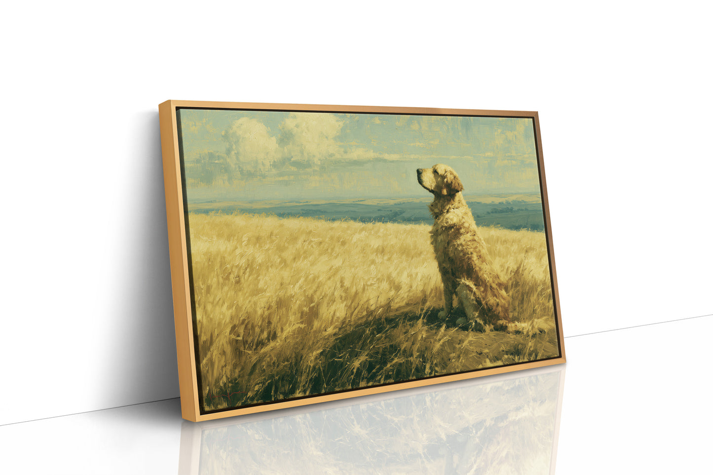 Golden Retriever, Golden Fields