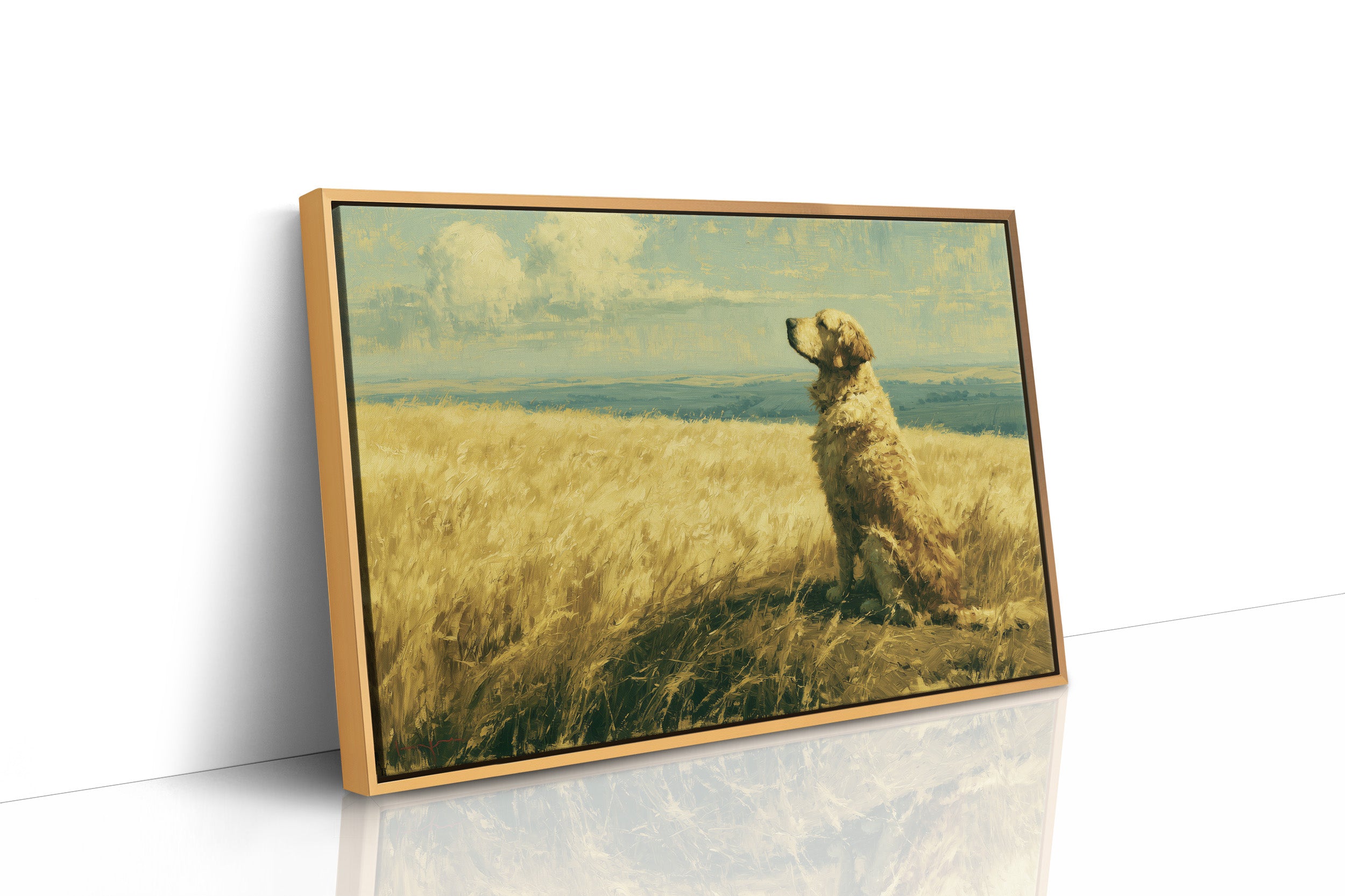Golden Retriever, Golden Fields