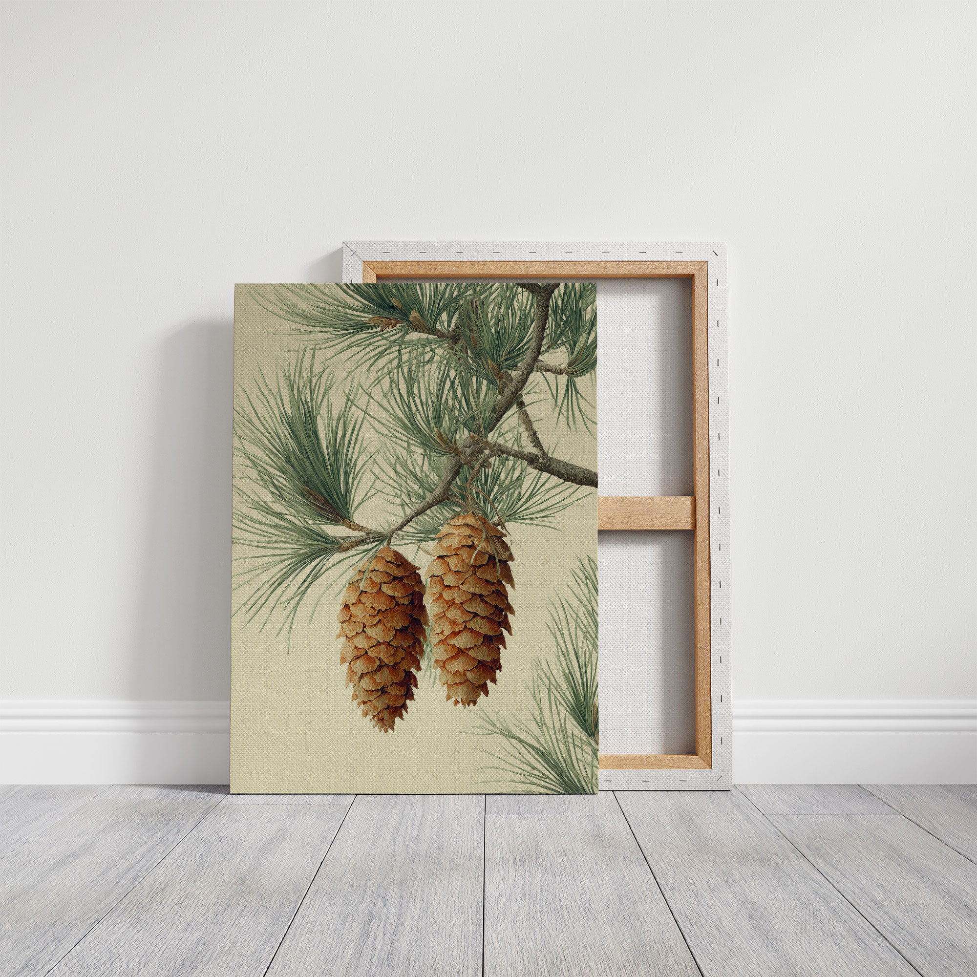 Pine Cones Dance In Winter's Light