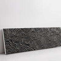 Echoes in Black and Silver