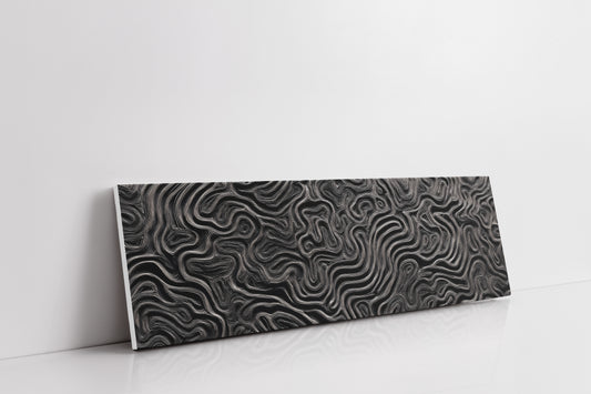 Echoes in Black and Silver