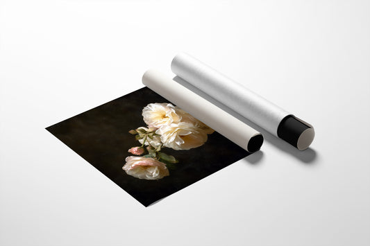 Roses Among Literary Treasures