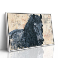 Midnight Mane, Quiet Gaze