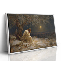 Midnight Prayer Beneath Ancient Olive