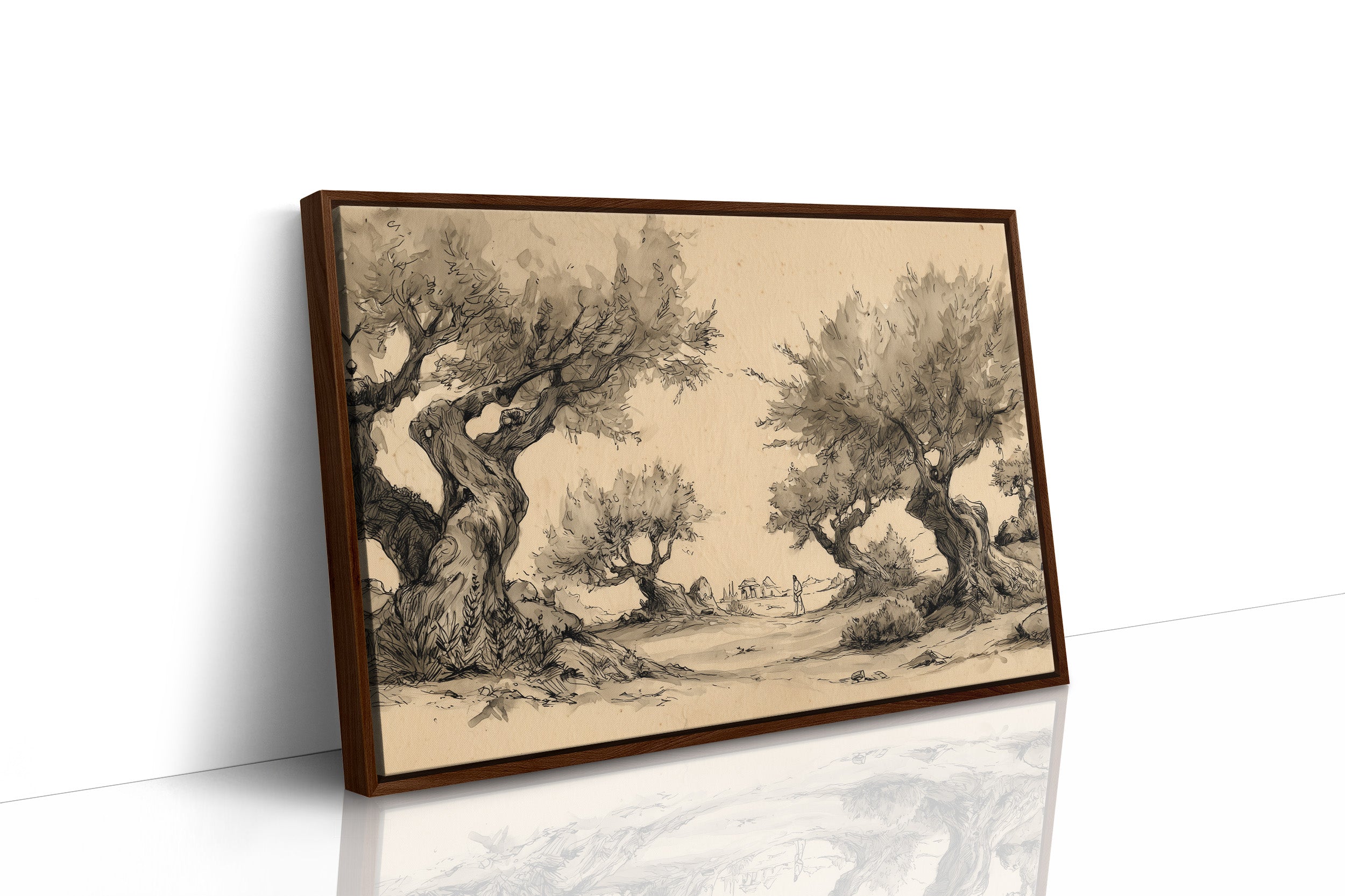 Ancient Olives Guard Distant Paths