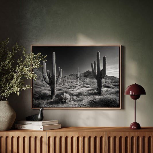 Sentinels of the Sonoran
