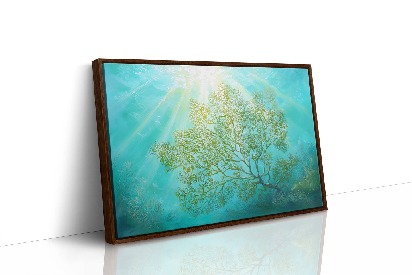 Sunbeams Illuminate Coral Branches