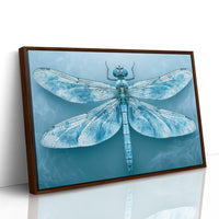 Frost-Blue Dragonfly Study