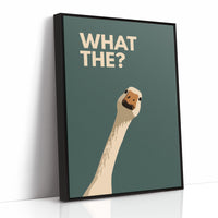 Bewildered Goose: A Minimalist Inquiry