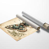 Alpine Gold Bathes Mountain Peaks