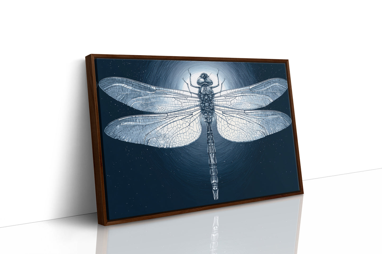 Dragonfly by Moonlight