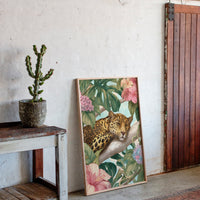 Napping Among Tropical Secrets