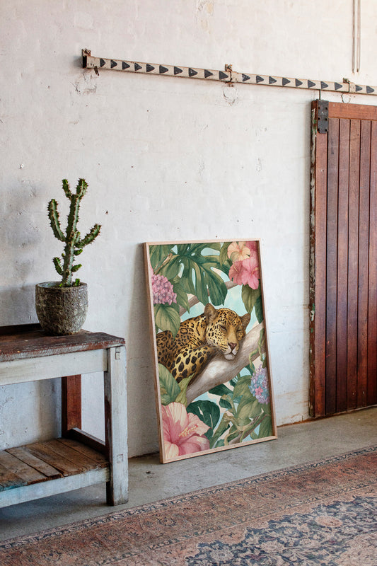 Napping Among Tropical Secrets