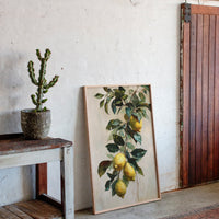 Harvesting Sunlit Citrus Dreams