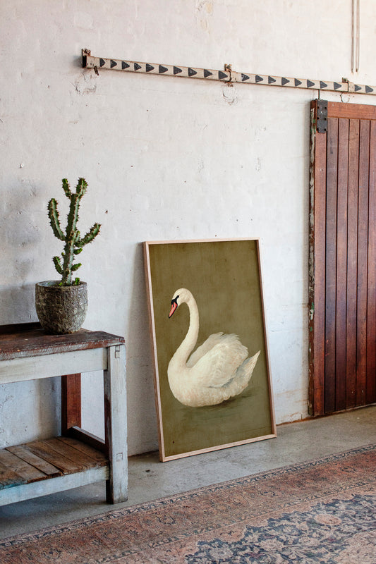 Elegance Stilled in Time