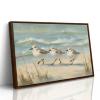 Sandpipers Dance Along Tidal Edge