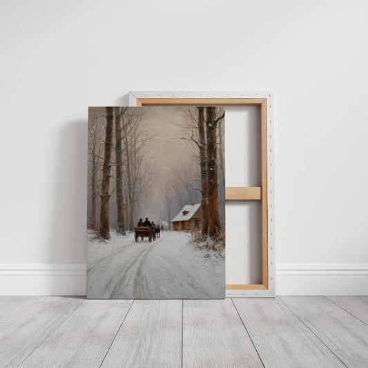 Snow Path Leads Through Ancient Trees