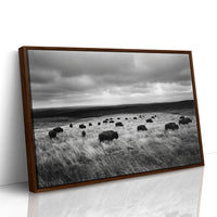 The Prairie Remembers Their Weight