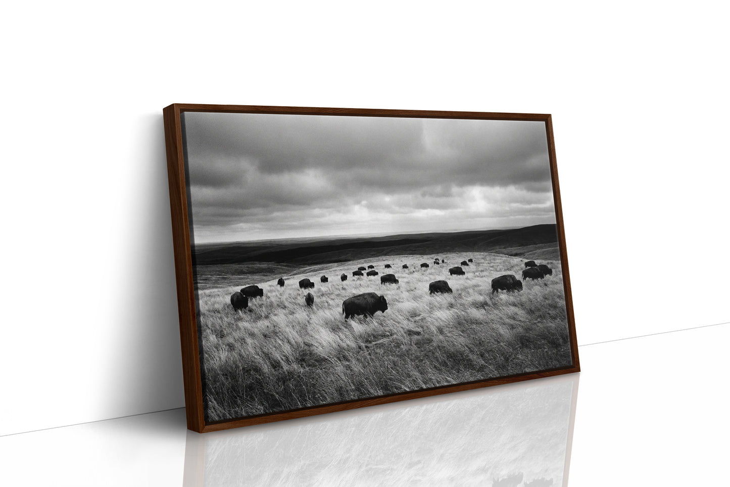 The Prairie Remembers Their Weight