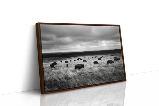 The Prairie Remembers Their Weight