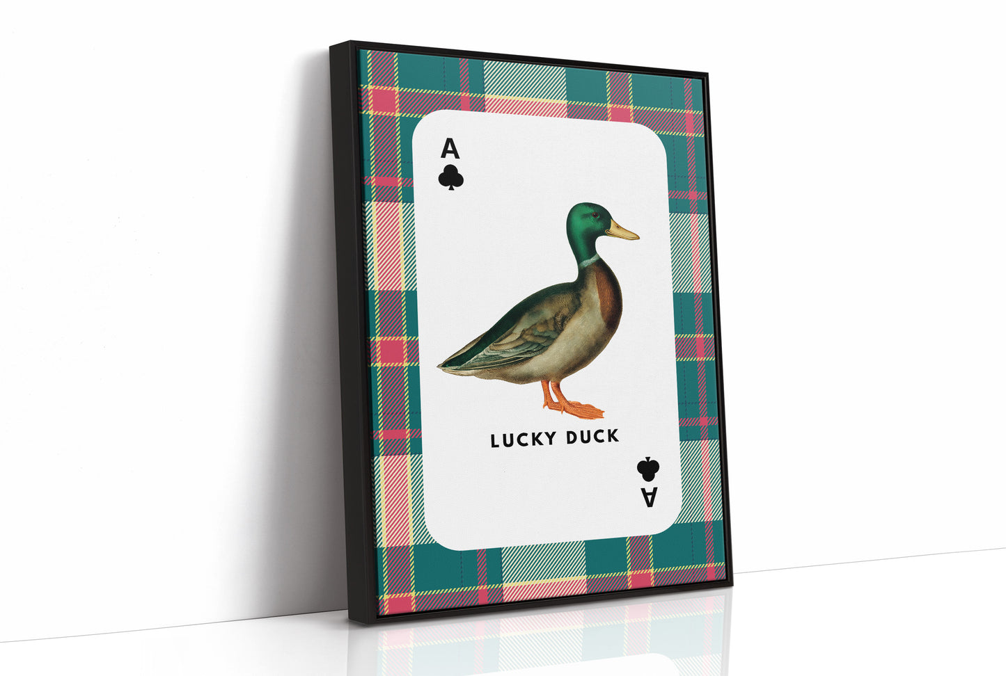 Highland Gambit: Ace of Mallards