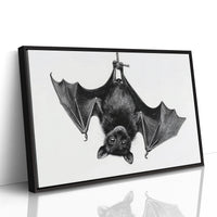 Nocturnal Scholar Hangs Between Pages