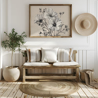 Cosmos Blooms In Graphite Grace