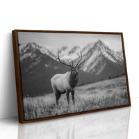 Crown of the Wilderness