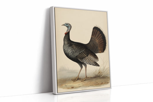 Regal Wild Turkey: Portrait of American Heritage