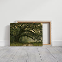 Old Oak, Long Road