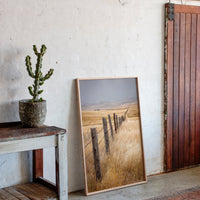 Fences That Tell Forgotten Tales
