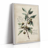 Olive Branch Carries Sacred Wisdom