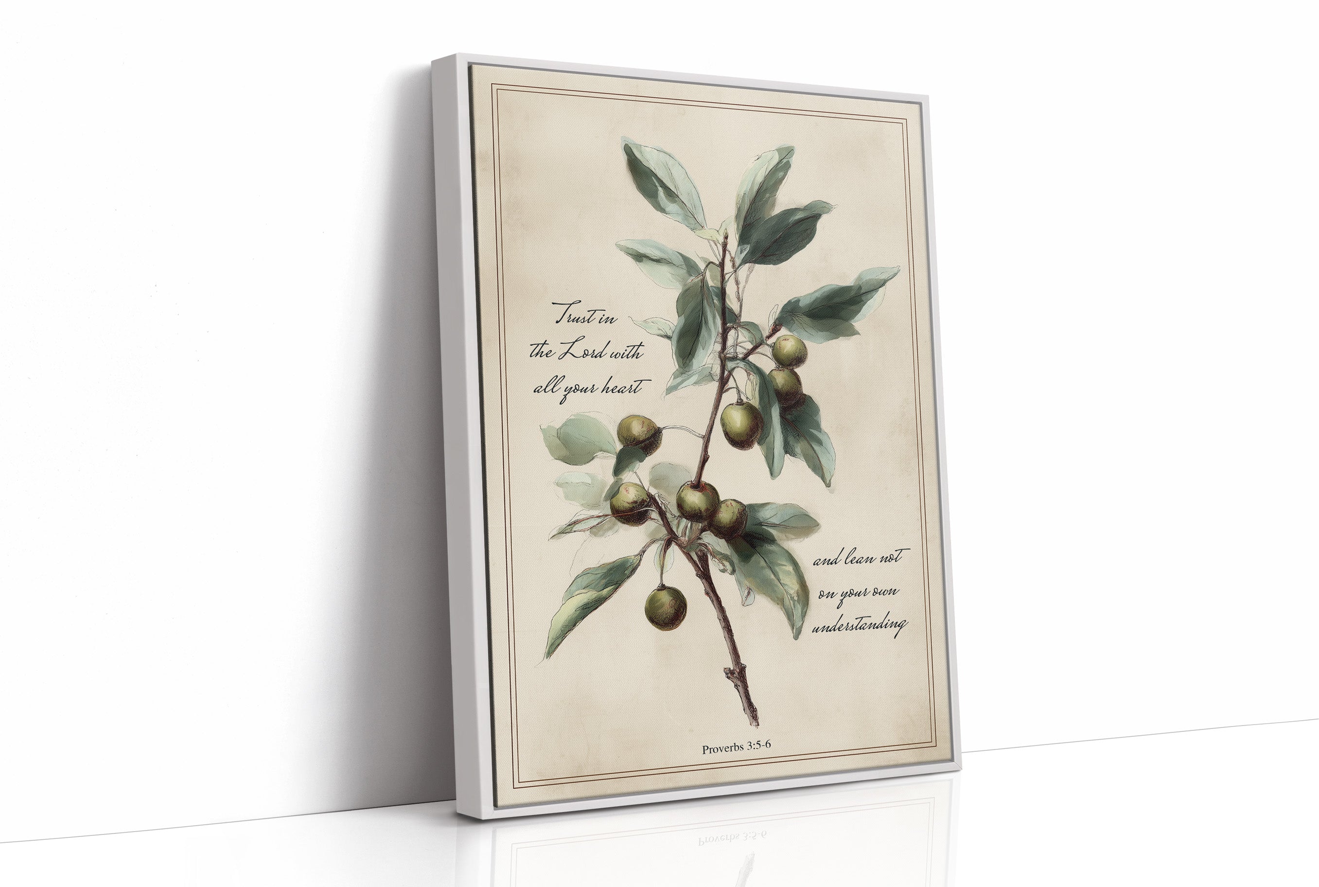 Olive Branch Carries Sacred Wisdom